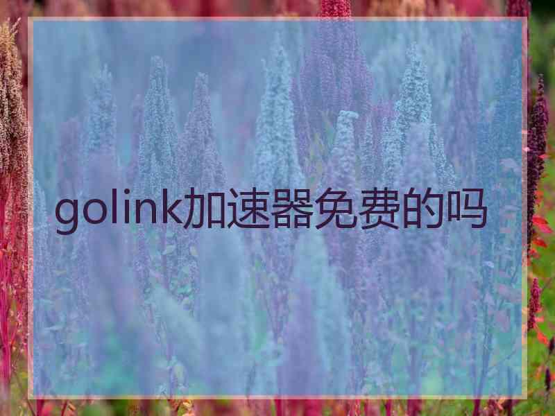 golink加速器免费的吗