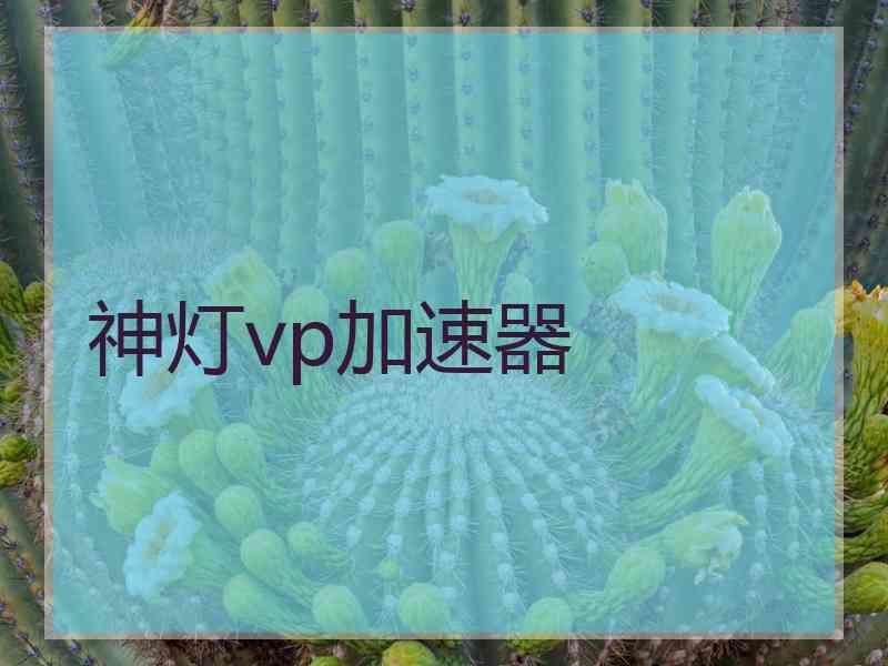 神灯vp加速器