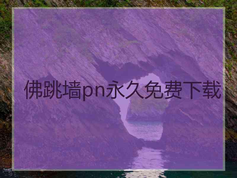 佛跳墙pn永久免费下载