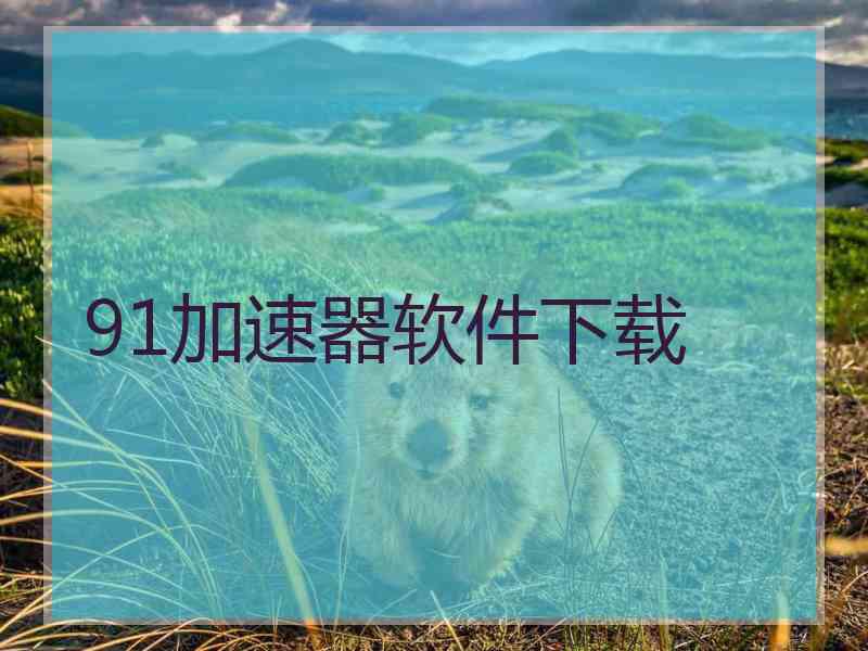 91加速器软件下载