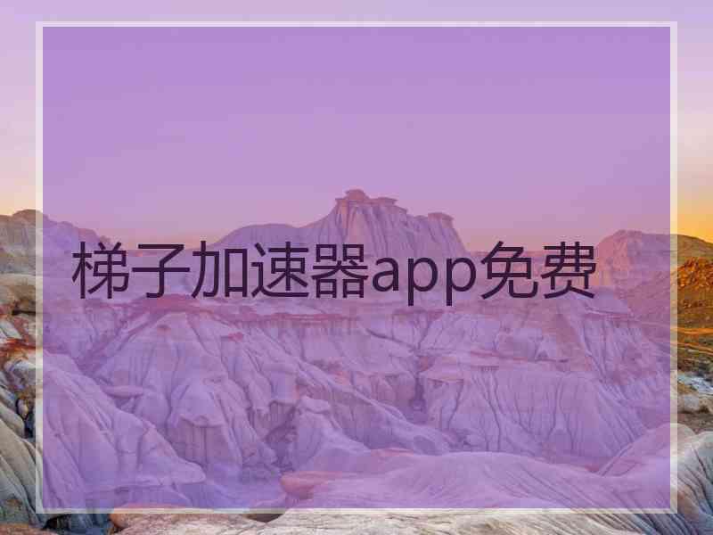 梯子加速器app免费