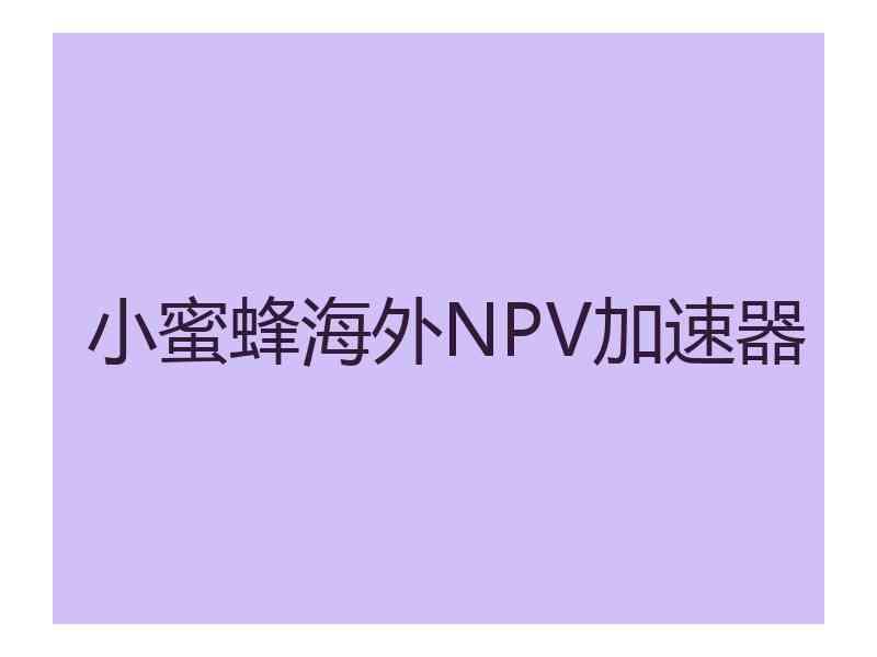 小蜜蜂海外NPV加速器