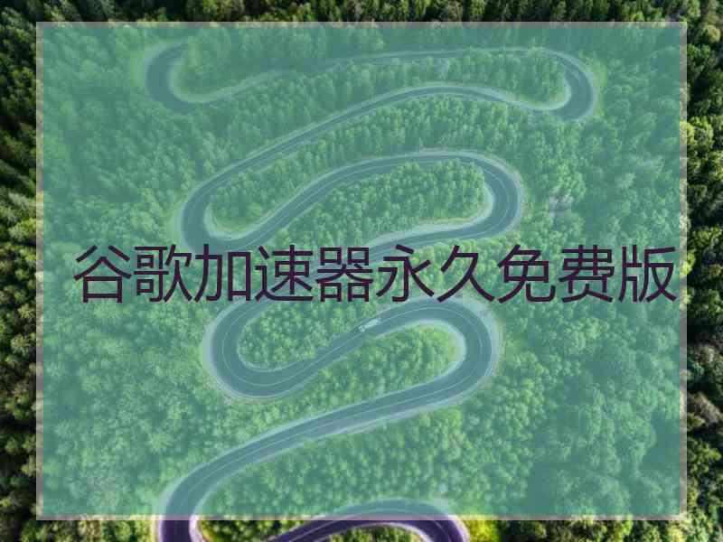 谷歌加速器永久免费版