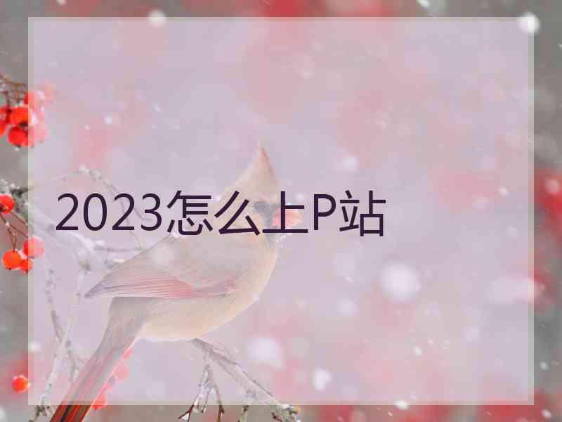 2023怎么上P站