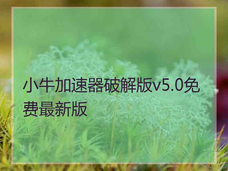 小牛加速器破解版v5.0免费最新版