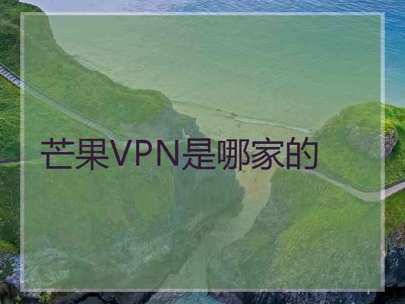 芒果VPN是哪家的