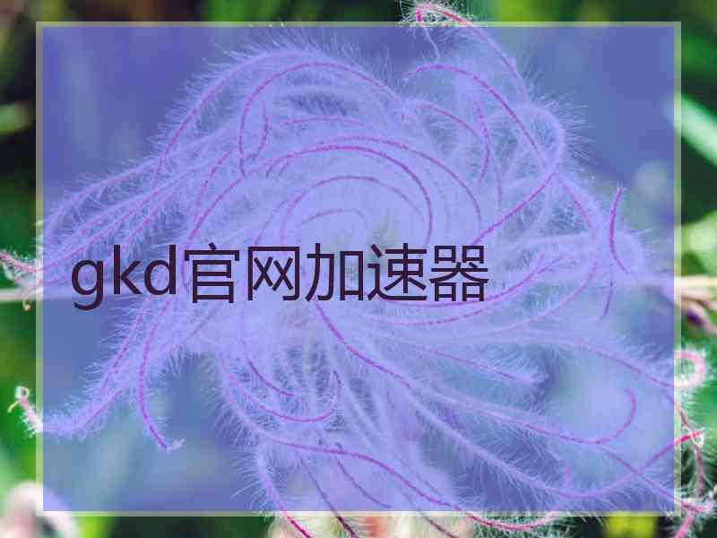 gkd官网加速器