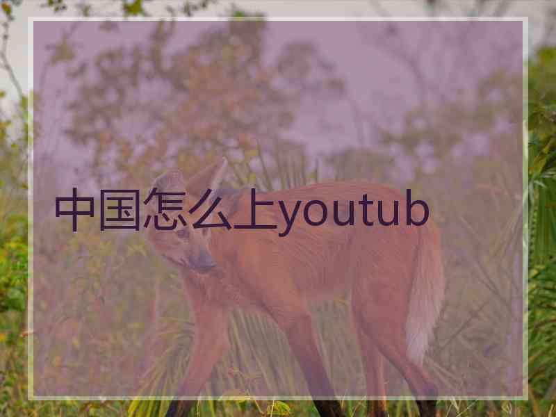 中国怎么上youtub