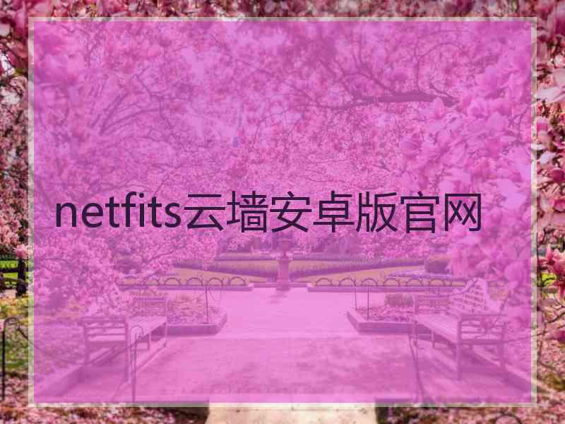 netfits云墙安卓版官网