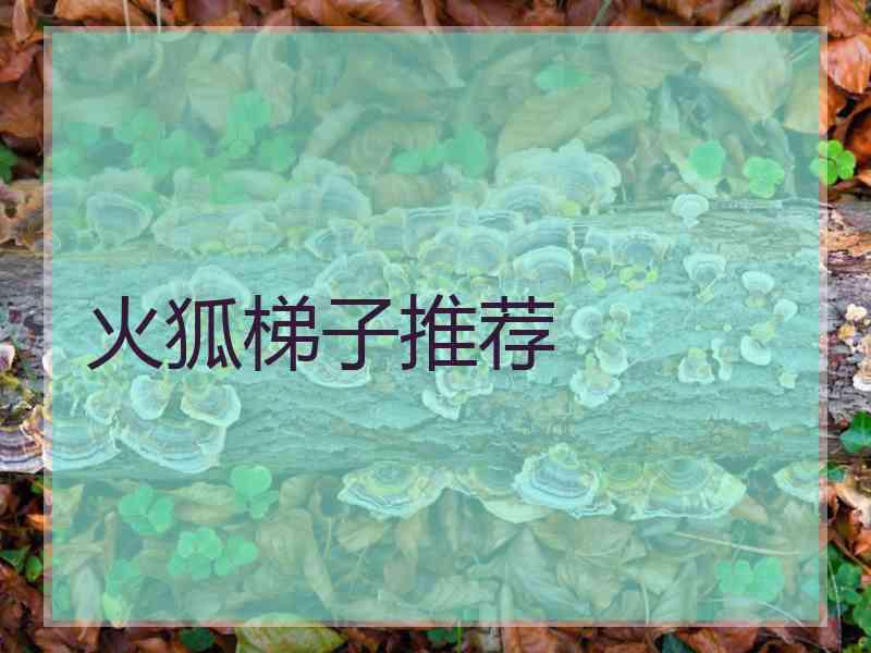 火狐梯子推荐