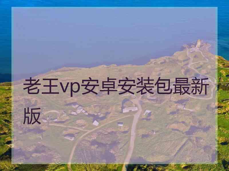 老王vp安卓安装包最新版