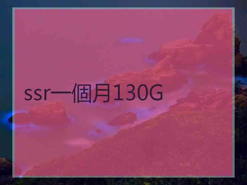 ssr一個月130G