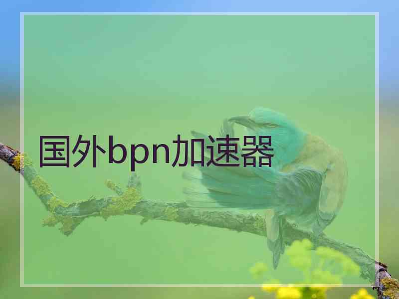 国外bpn加速器