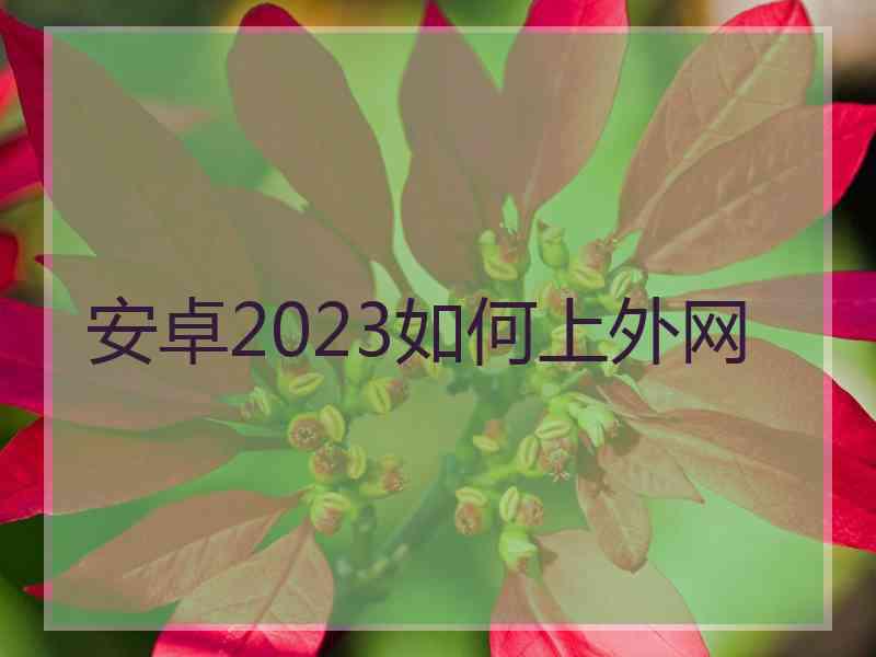 安卓2023如何上外网