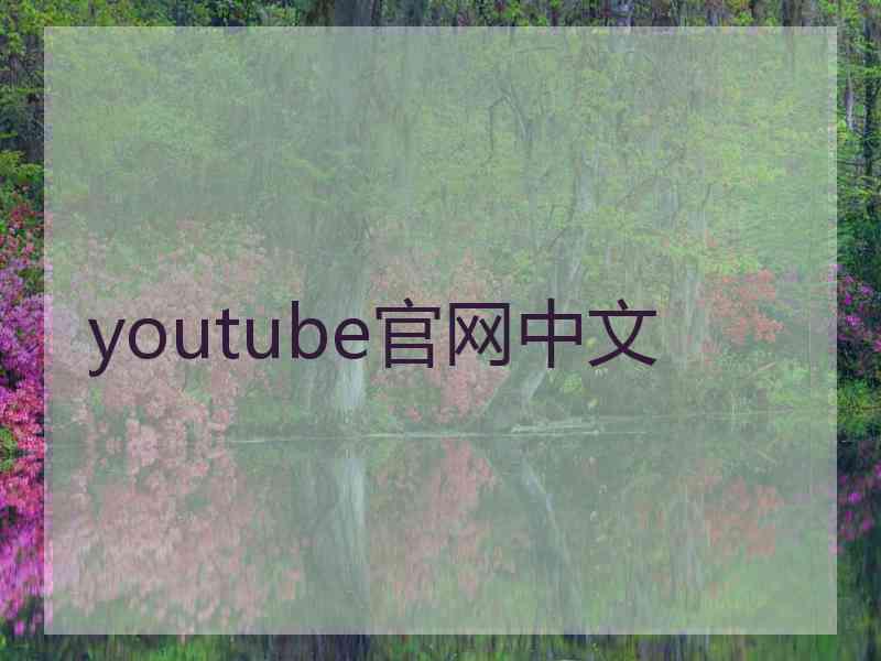 youtube官网中文