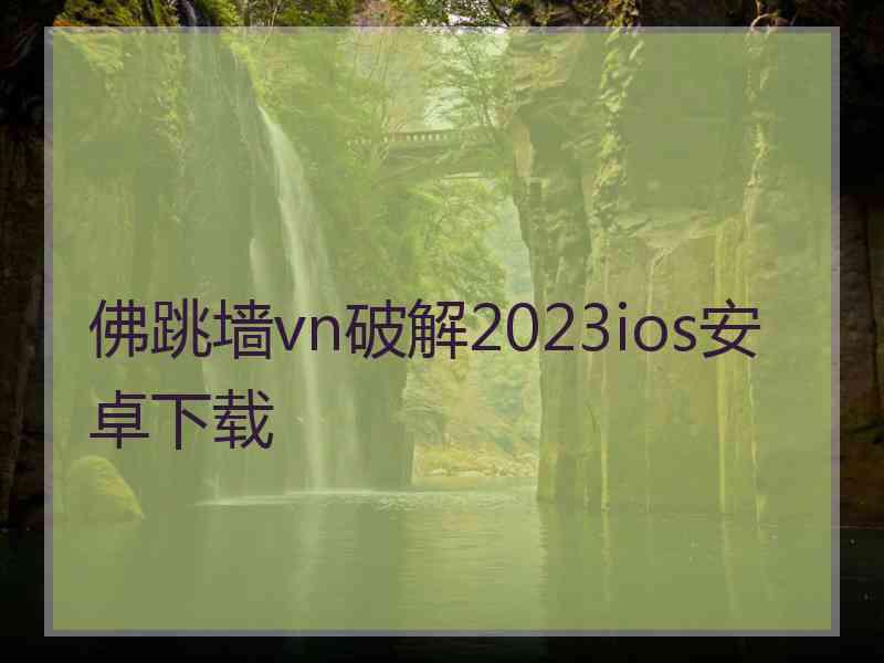 佛跳墙vn破解2023ios安卓下载