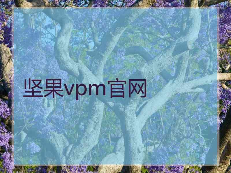 坚果vpm官网