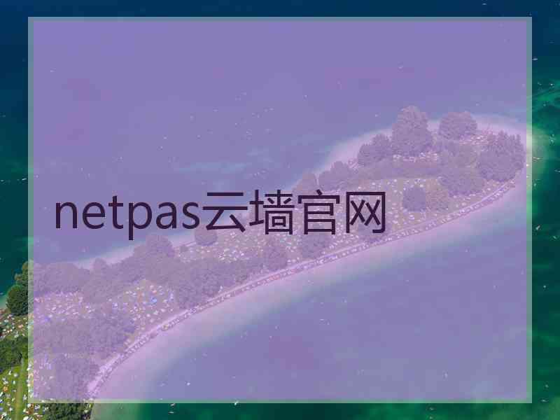 netpas云墙官网