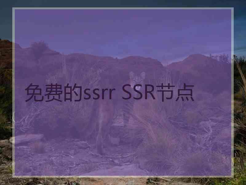 免费的ssrr SSR节点