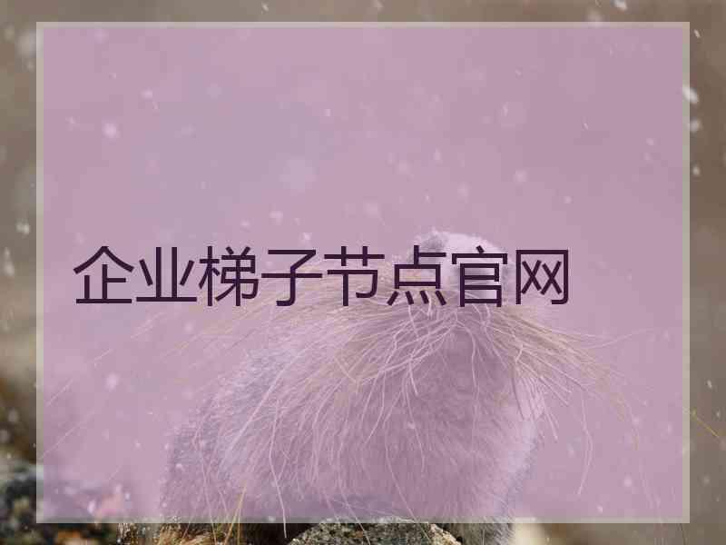 企业梯子节点官网