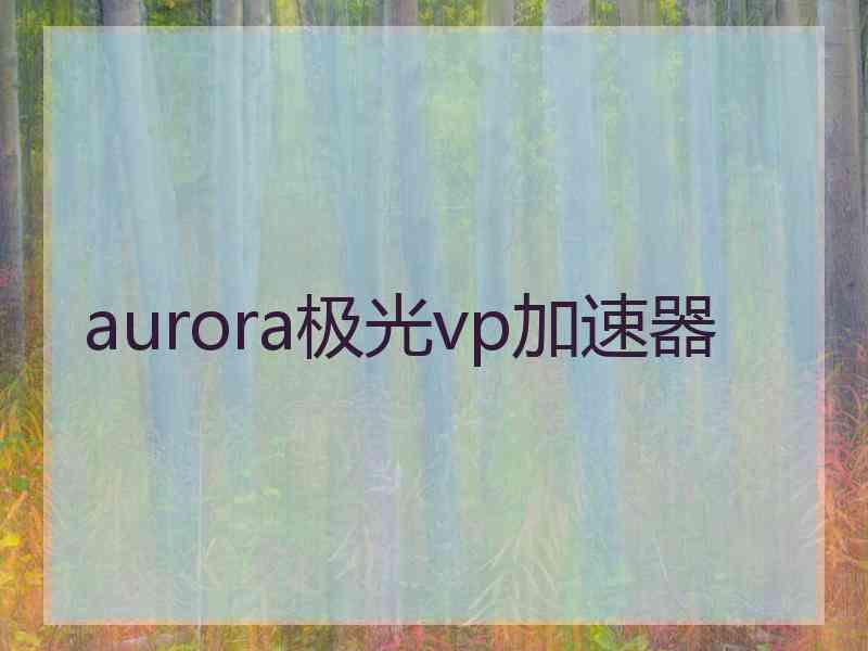 aurora极光vp加速器