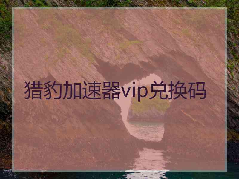 猎豹加速器vip兑换码