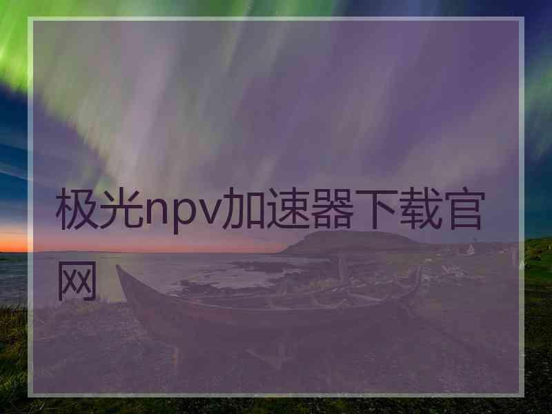 极光npv加速器下载官网