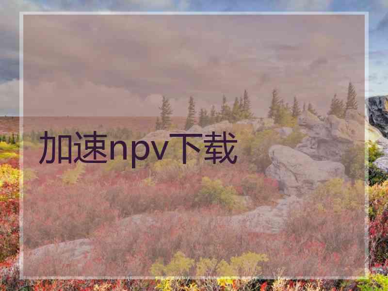 加速npv下载