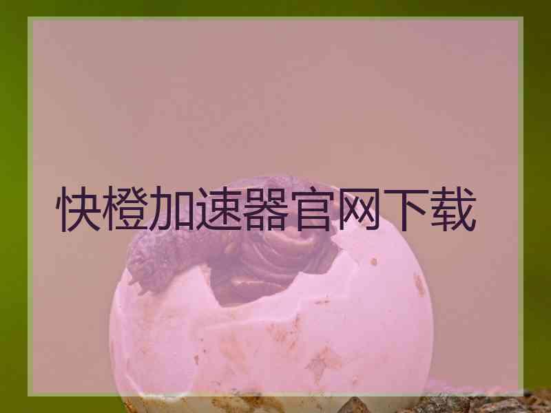 快橙加速器官网下载