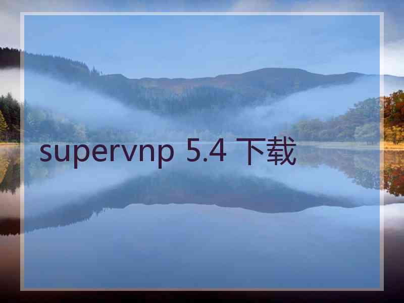 supervnp 5.4 下载