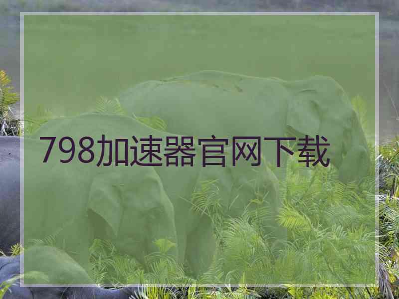 798加速器官网下载