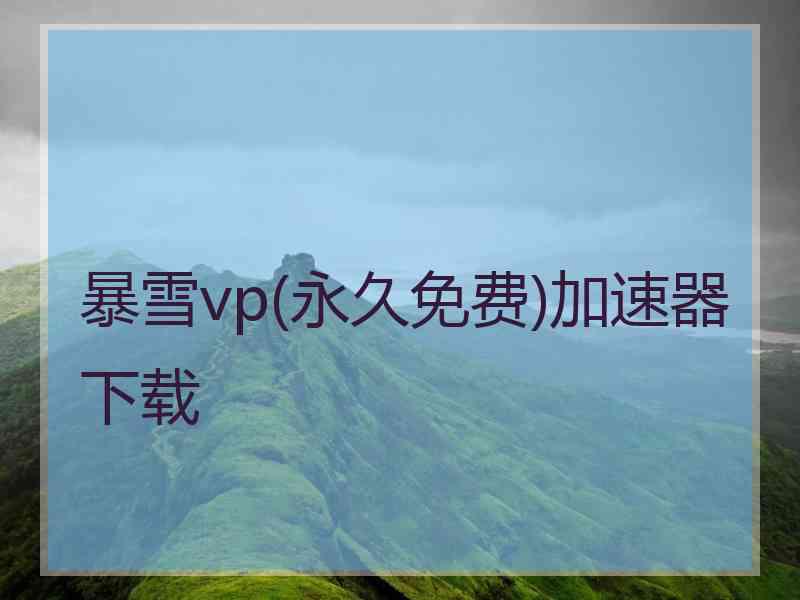 暴雪vp(永久免费)加速器下载