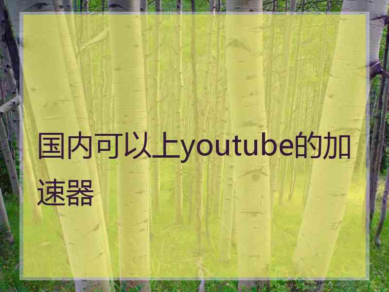 国内可以上youtube的加速器