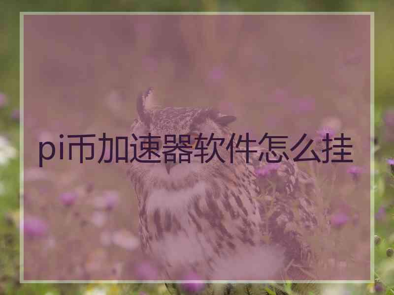 pi币加速器软件怎么挂