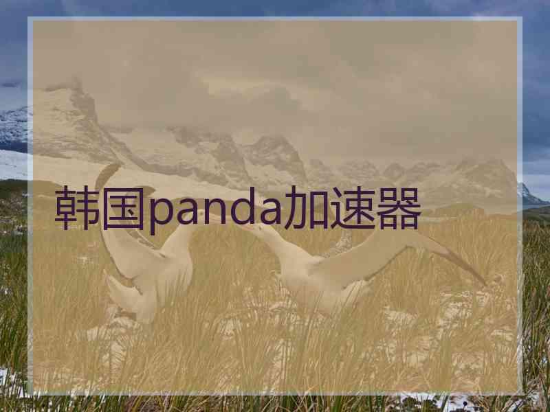 韩国panda加速器