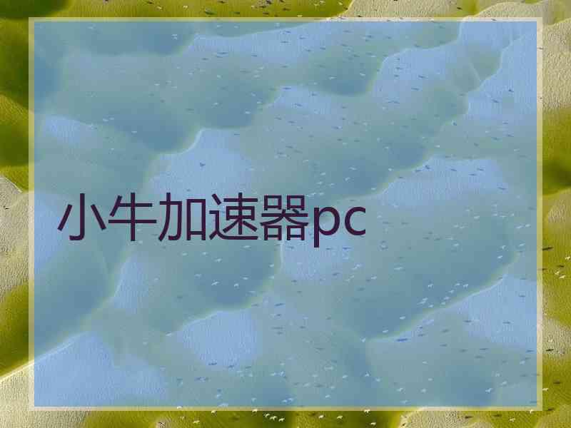 小牛加速器pc