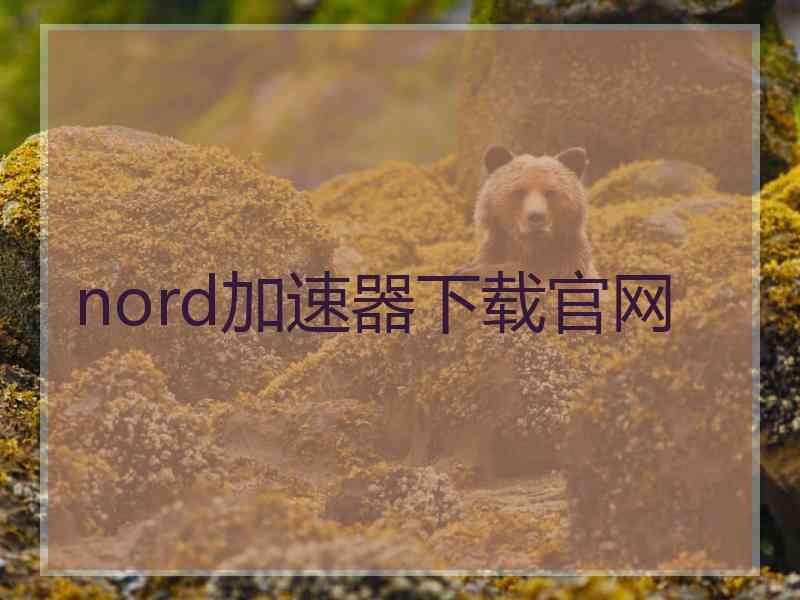 nord加速器下载官网