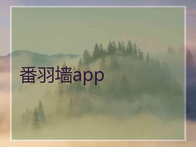 番羽墙app