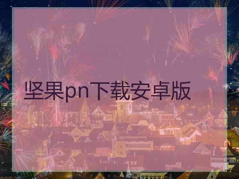 坚果pn下载安卓版