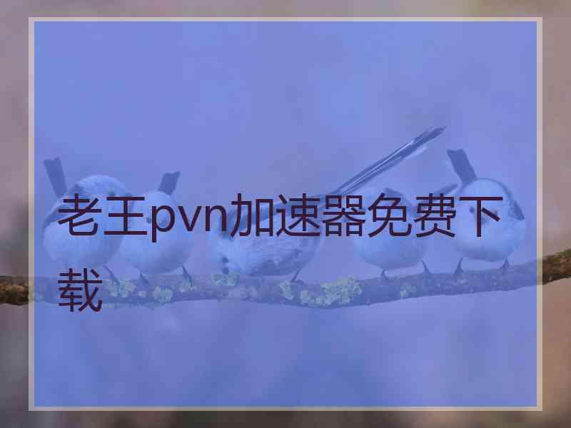 老王pvn加速器免费下载