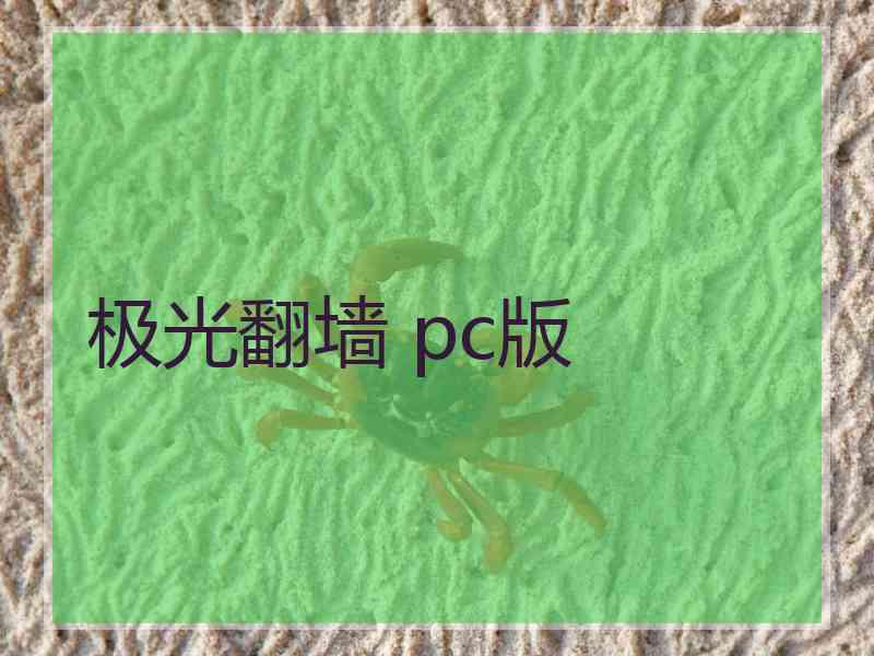 极光翻墙 pc版