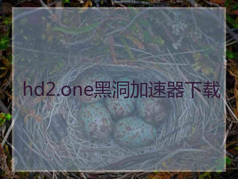 hd2.one黑洞加速器下载