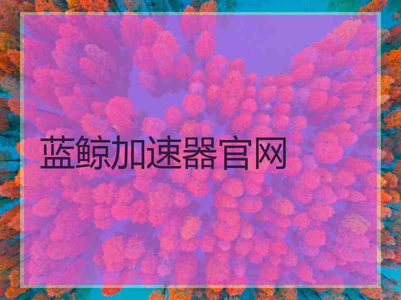 蓝鲸加速器官网