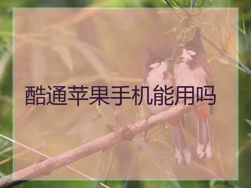 酷通苹果手机能用吗