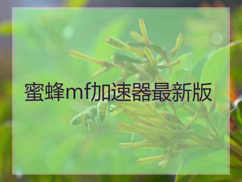 蜜蜂mf加速器最新版