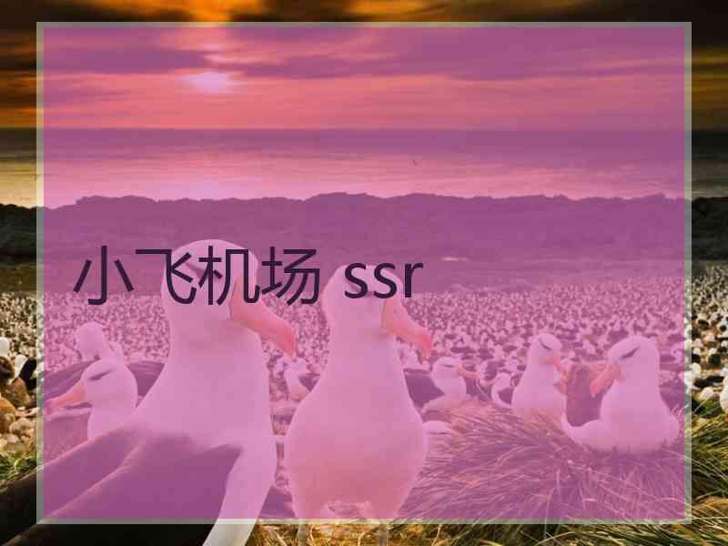 小飞机场 ssr