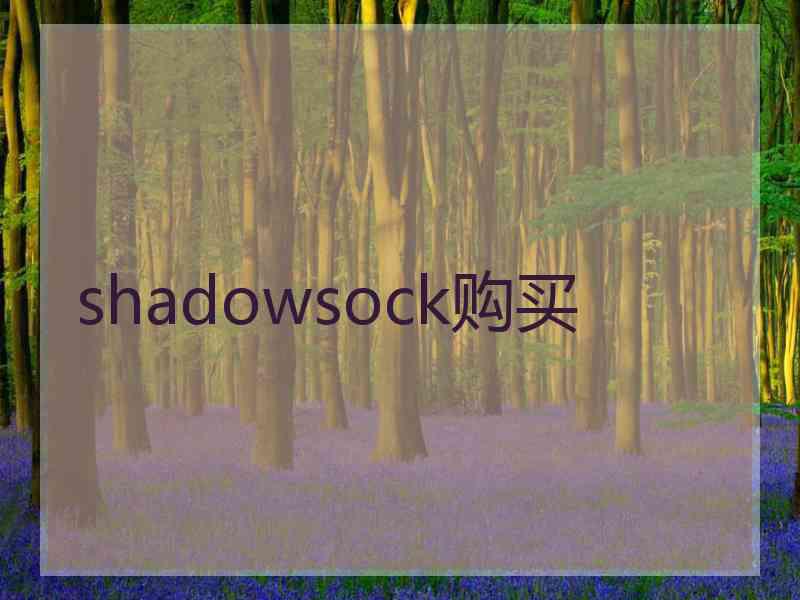 shadowsock购买