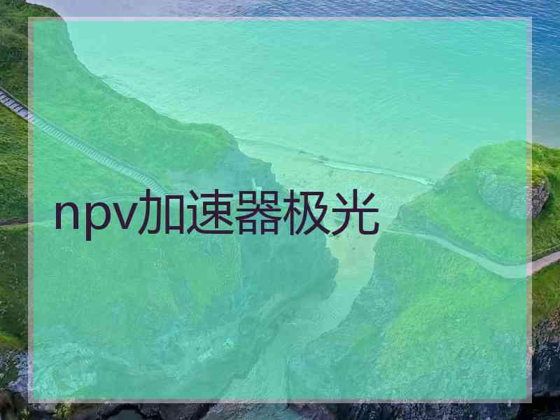 npv加速器极光