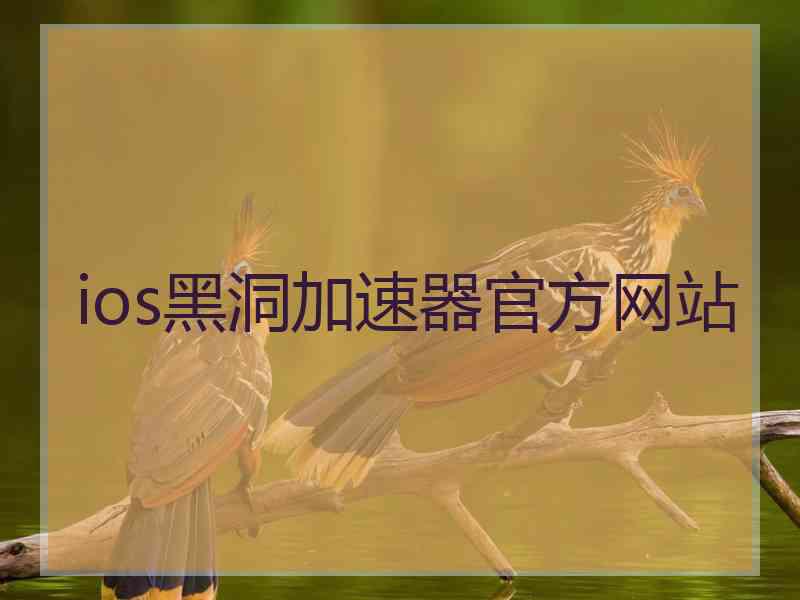 ios黑洞加速器官方网站