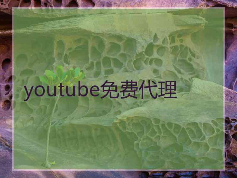 youtube免费代理